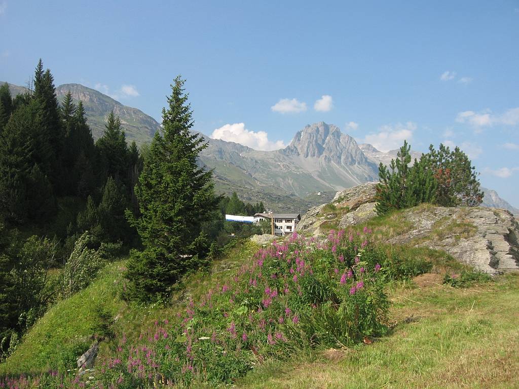 51 Am Malojapass_01-08-2009.JPG